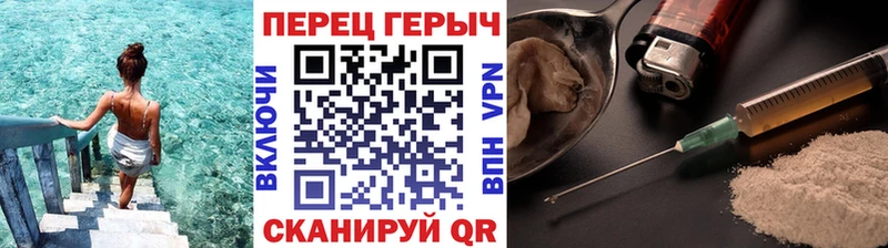 ГЕРОИН хмурый  Новосокольники 