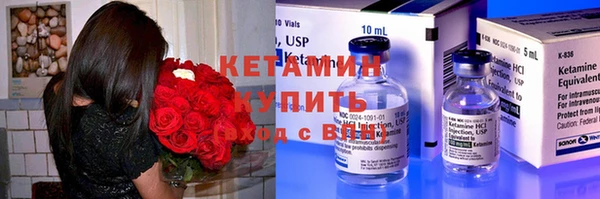 индика Бронницы